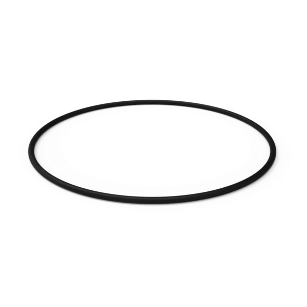 O'Ring 6"